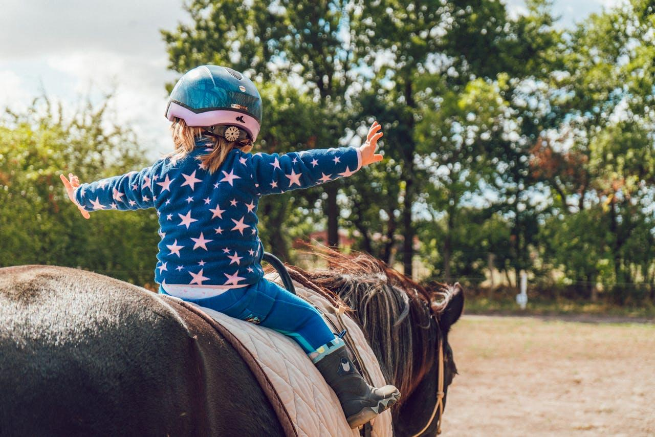 La nutrition de votre cheval optimisée avec Mila Moka Nutrition Équine